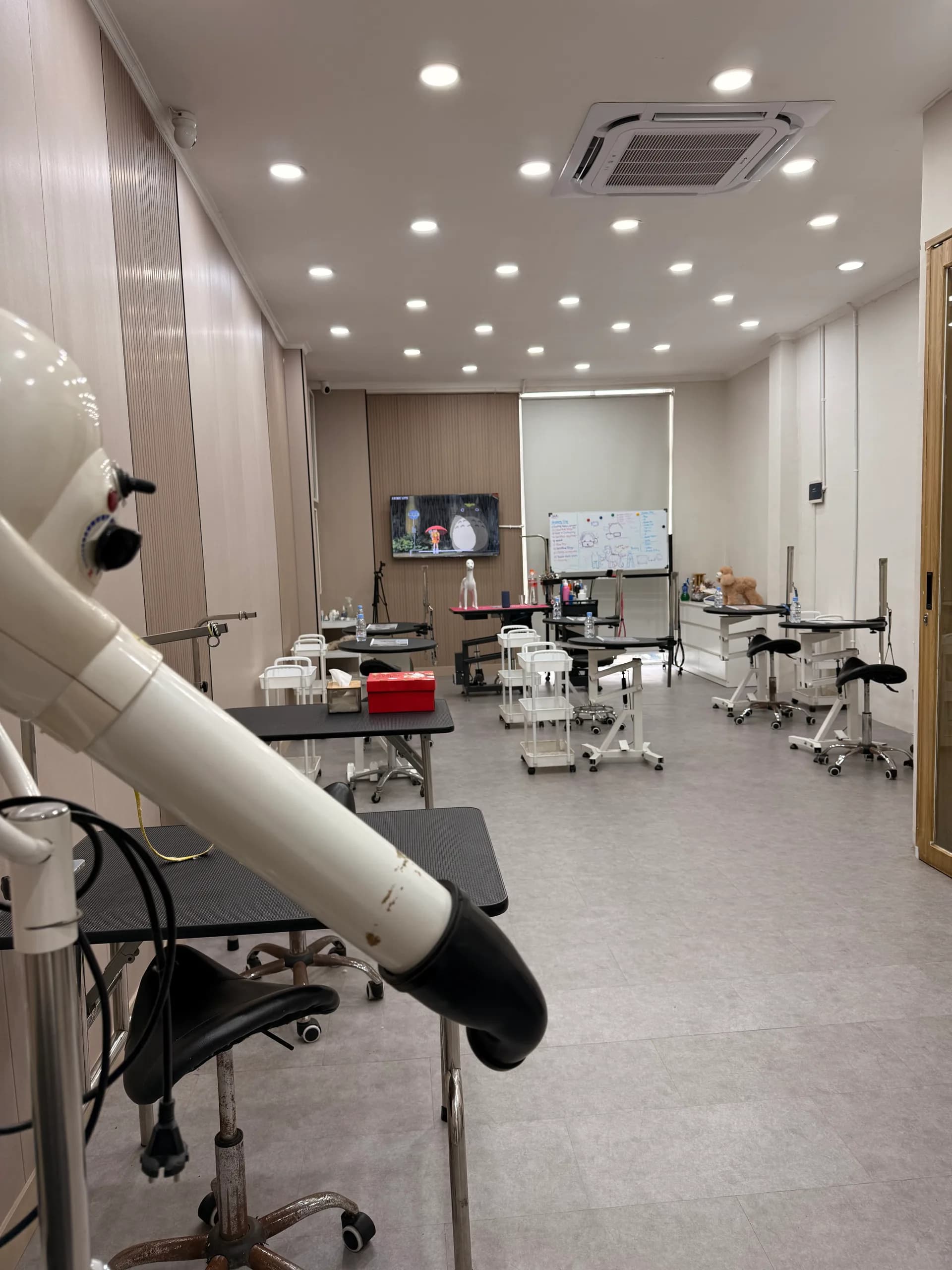 SGA offline classroom
